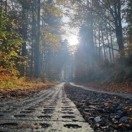 豪华帐篷 Beskidiaglamp *