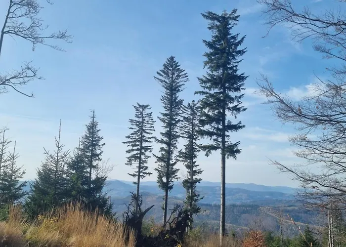 Beskidiaglamp Buczkowice